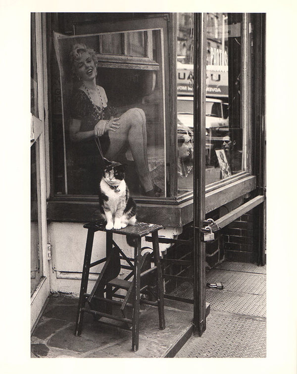 "Cat & Marylin" , Thompson Street, New York City by Victor Macarol - 10 X 12 Inches (Art Print)