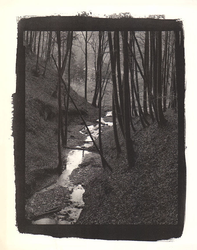 Waldbach, bei Laupen, Januar 1988 by Jean-Paul Rohner - 10 X 12 Inches (Offset Lithograph)
