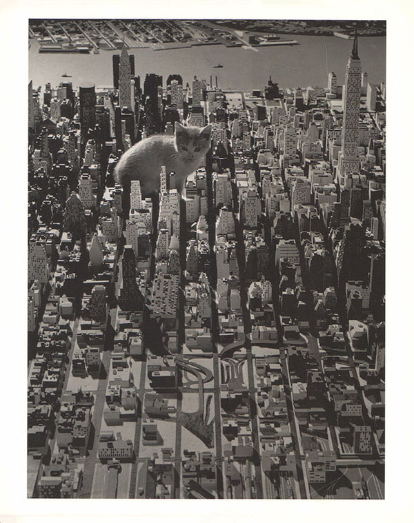 Cat on Manhattan, 1964 by Alfred Geischeidt - 10 X 12 Inches (Art Print)