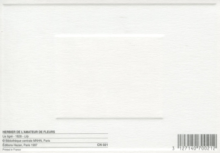 Lis Tigrè - 4 X 6 Inches (10 Postcards)