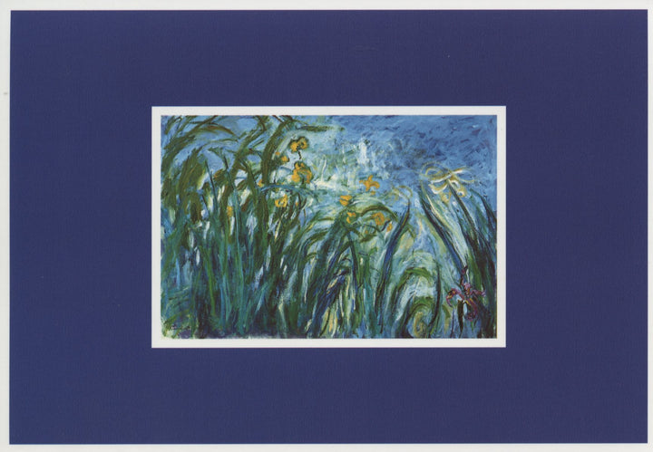 Les Iris Jaunes by Claude Monet - 4 X 6 Inches (10 Postcards)