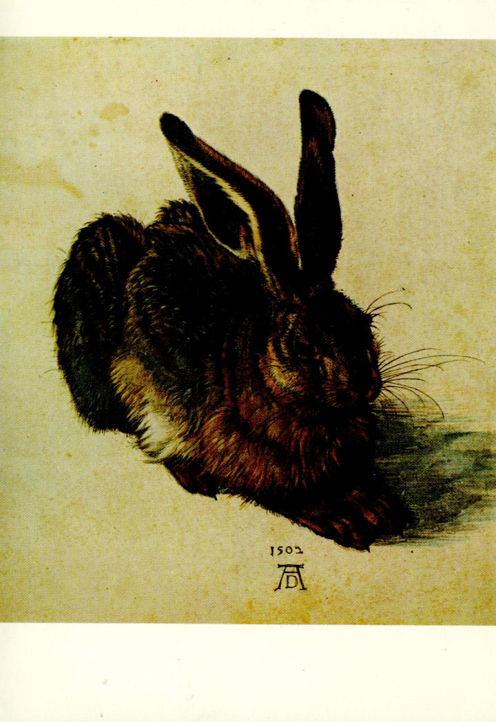 Le Lièvre by Albrecht Dürer - 4 X 6 Inches (10 Postcards)