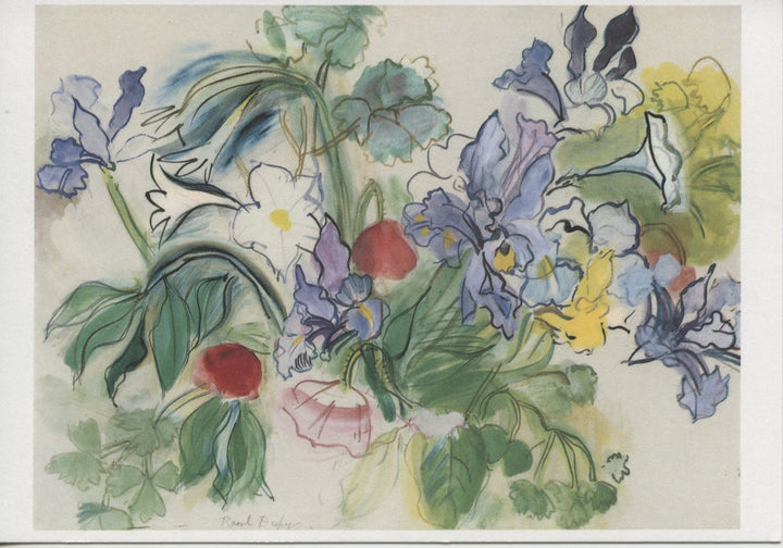 Coquelicots et Iris by Raoul Dufy - 4 X 6 Inches (10 Postcards)