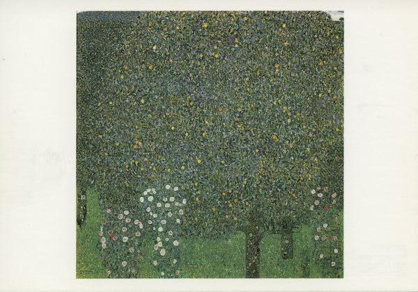 Roses sous les Arbres, 1905 by Gustav Klimt - 4 X 6 Inches (10 Postcards)