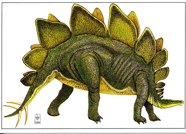 Stegosaurus by Gaetan du Chatenet - 4 X 6 Inches (10 Postcards)