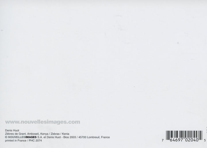 Zèbres de Grant by Denis Huot - 4 X 6 Inches (10 Postcards)