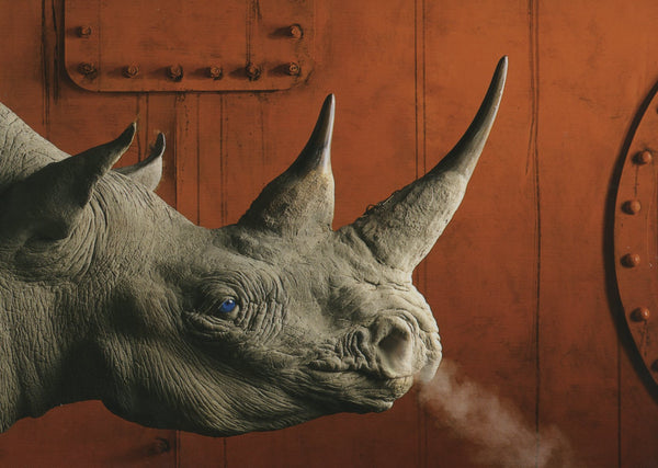 Rhino Fumant by Louis Gaillard - 4 X 6 Inches (10 Postcards)