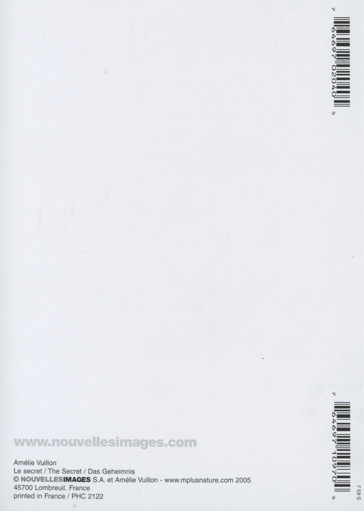 Le Secret by Amélie Vuillon - 4 X 6 Inches (10 Postcards)