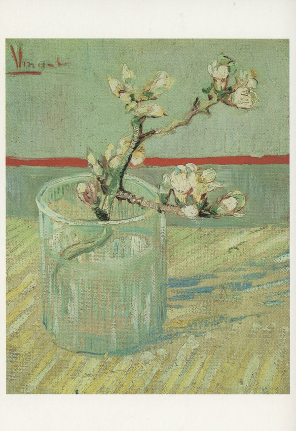 Tige Fleurie d'Amandier dans un Verre, 1888 by Vincent Van Gogh - 4 X 6 Inches (10 Postcards)