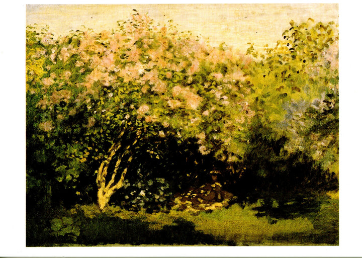 Lilas au soleil, 1872 by Claude Monet - 4 X 6 Inches (10 Postcards)