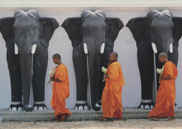 Moines Bouddhistes, Sri Lanka by Hugh Sitton - 4 X 6 Inches (10 Postcards)