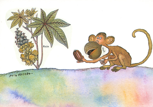 Le singe au ricin by Puig Rosado - 4 X 6 Inches (10 Postcards)