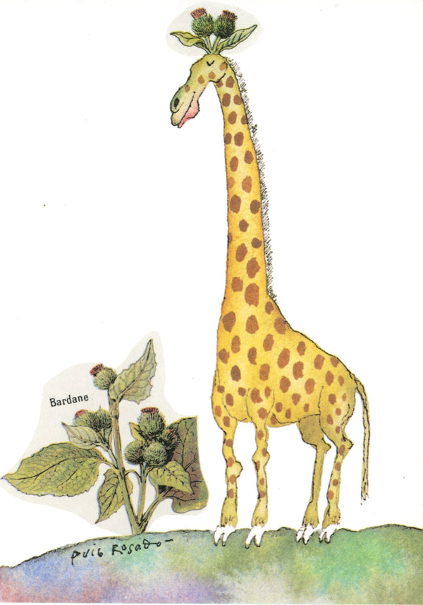 La girafe à la bardane by Puig Rosado - 4 X 6 Inches (10 Postcards)