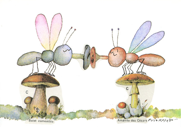 Les mouches aux champignons by Puig Rosado - 4 X 6 Inches (10 Postcards)