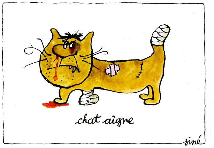 Chat Aîgne by Siné - 4 X 6 Inches (10 Postcards)