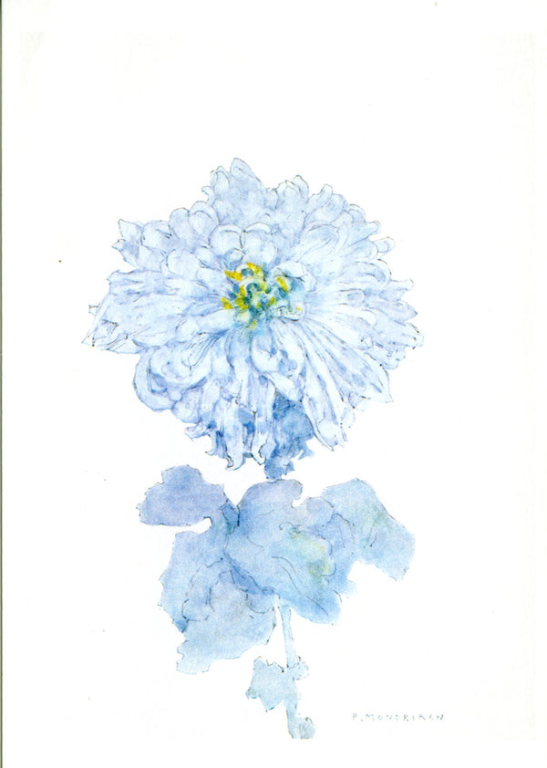 Chrysanthème by Piet Mondrian - 4 X 6 Inches (10 Postcards)