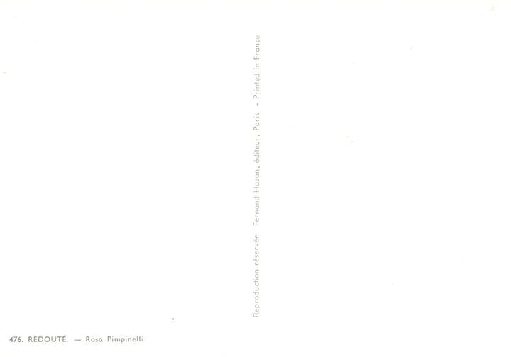 Rosa Pimpinelli by Pierre-Joseph Redouté - 4 X 6 Inches (10 Postcards)