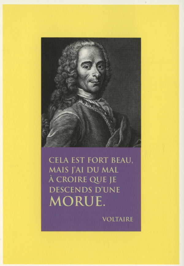 Voltaire - 4 X 6 Inches (10 Postcards)