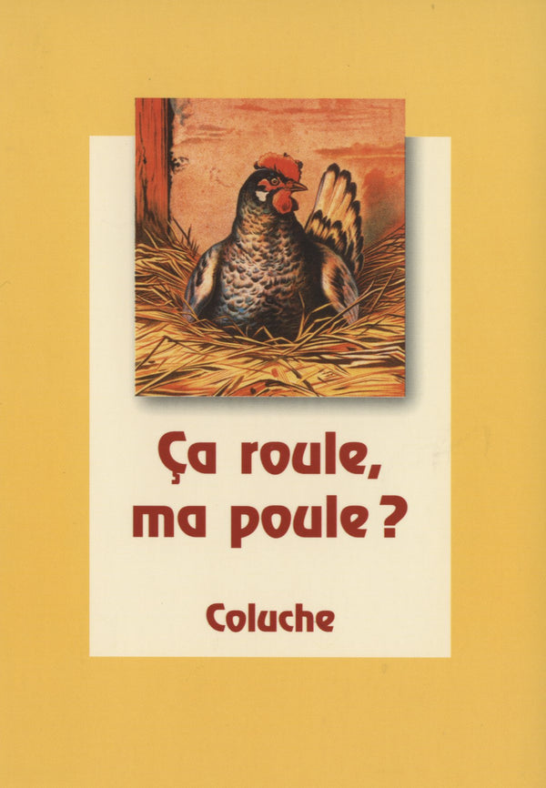 Poule Couvant - 4 X 6 Inches (10 Postcards)