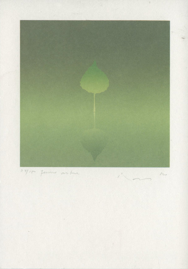 Jeune Arbre by Kozo - 4 X 6 Inches (10 Postcards)