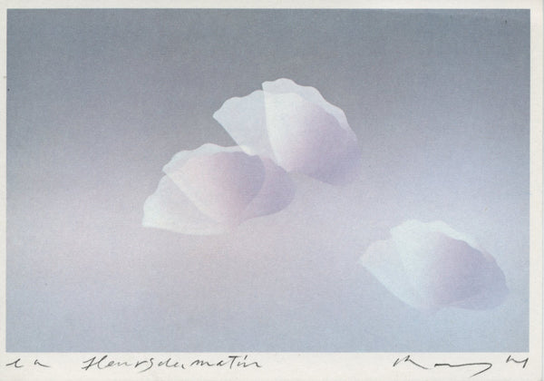 Fleur du Matin by Kozo - 4 X 6 Inches (10 Postcards)
