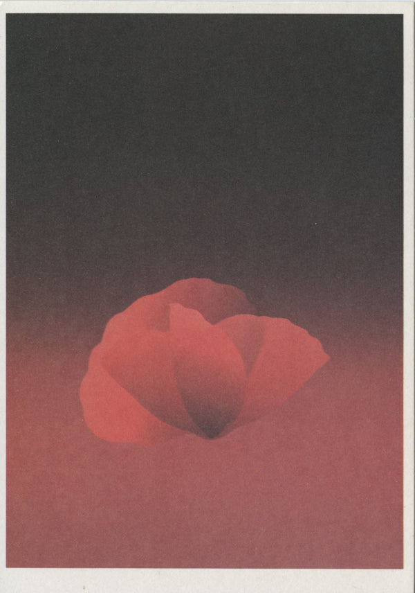 Fleur de Feu by Kozo - 4 X 6 Inches (10 Postcards)