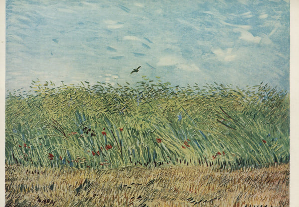 Champ de Blé à l'Alouette, 1887 by Vincent Van Gogh - 4 X 6 Inches (10 Postcards)