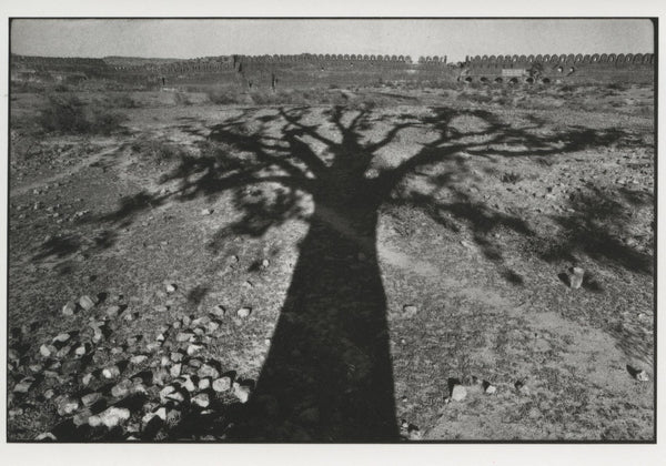 Fort Rohtas by René Burri - 4 X 6 Inches (10 Postcards)