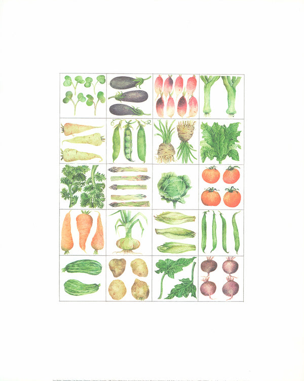 Vegetables by Sara Midda - 16 X 20 Inches (Art Print)