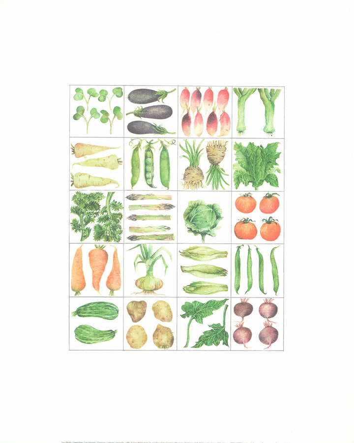 Vegetables by Sara Midda - 16 X 20 Inches (Art Print)