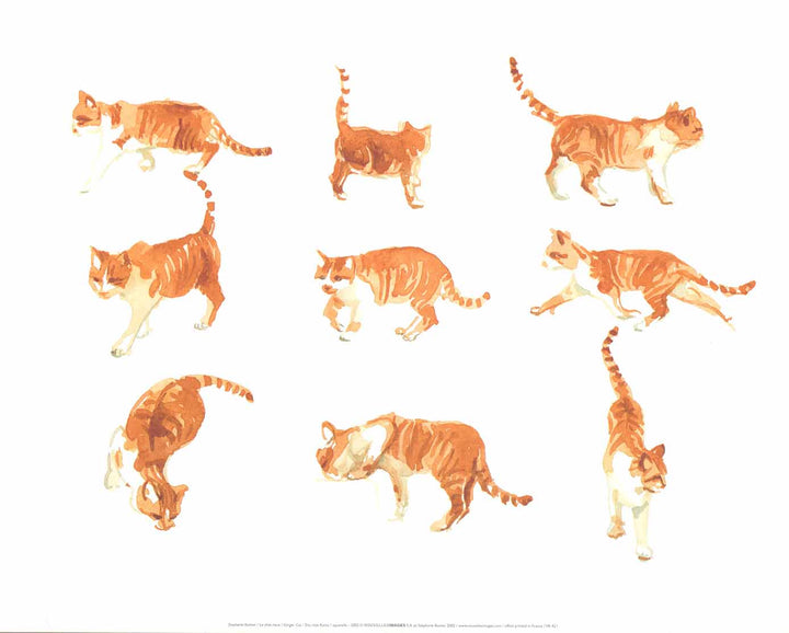 Le chat roux, 2002 by Stephanie Buttier - 16 X 20 Inches (Offset Lithograph)