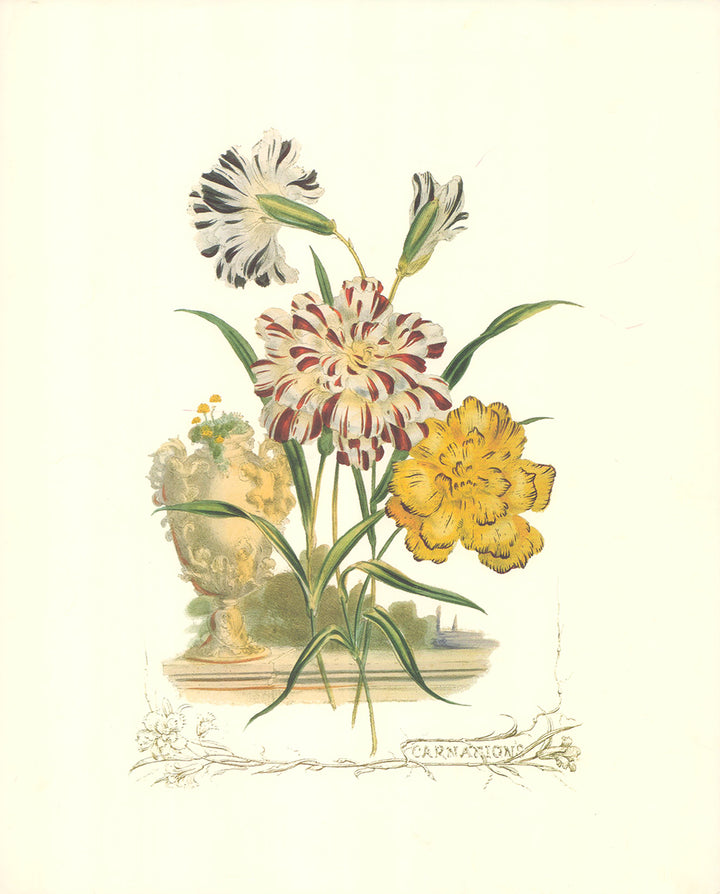 The Eight Victorian Flowers by Paul Jerand - 14 X 17 Inches (Art Print)