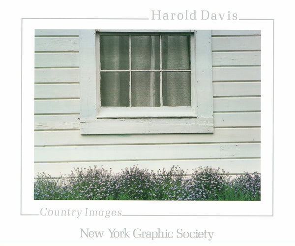 White Window with Forget Me Nots by Harold Davis - 25 X 30 Inches (Art Print)