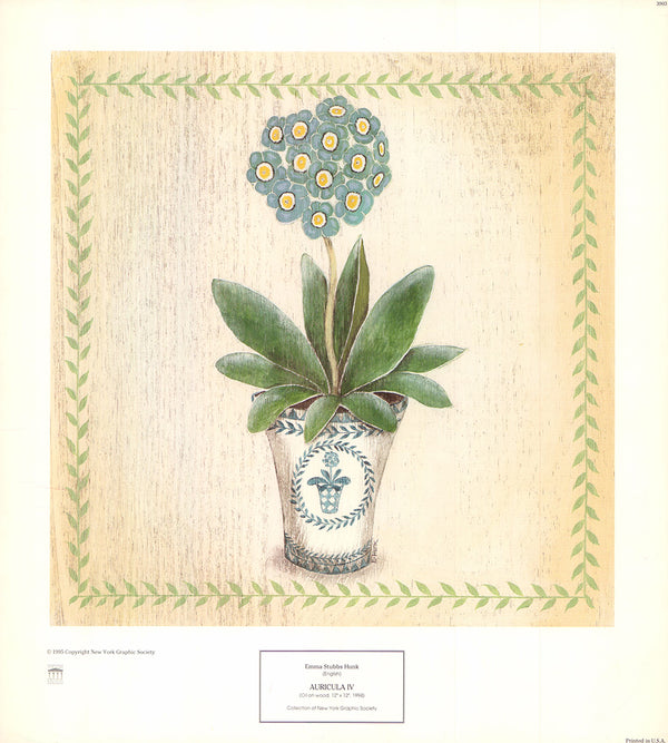 Auricula IV by Emma Stubbs Hunk - 14 X 16 Inches (Art Print)