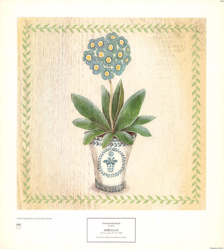 Auricula IV by Emma Stubbs Hunk - 14 X 16 Inches (Art Print)