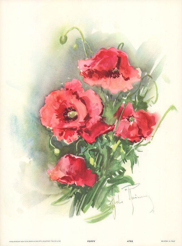 Poppy by Aldo Raimondi - 10 X 13 Inches (Art Print)