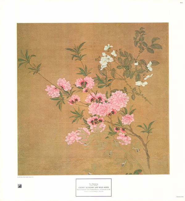 Cherry Blossoms and Wild Roses by Yun Shou-ping - 20 X 22 Inches (Art Print)