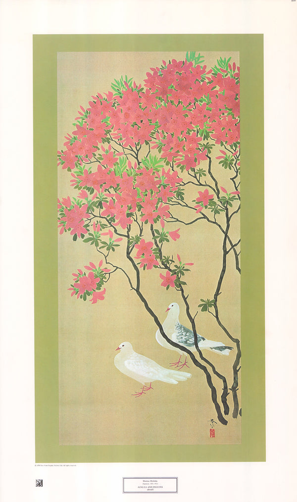 Azalea and Pigeons by Shunso Hishida - 17 X 28 Inches (Art Print)