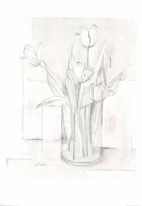 Tulips in White I by Edward Nimon - 20 X 28 Inches (Art Print)