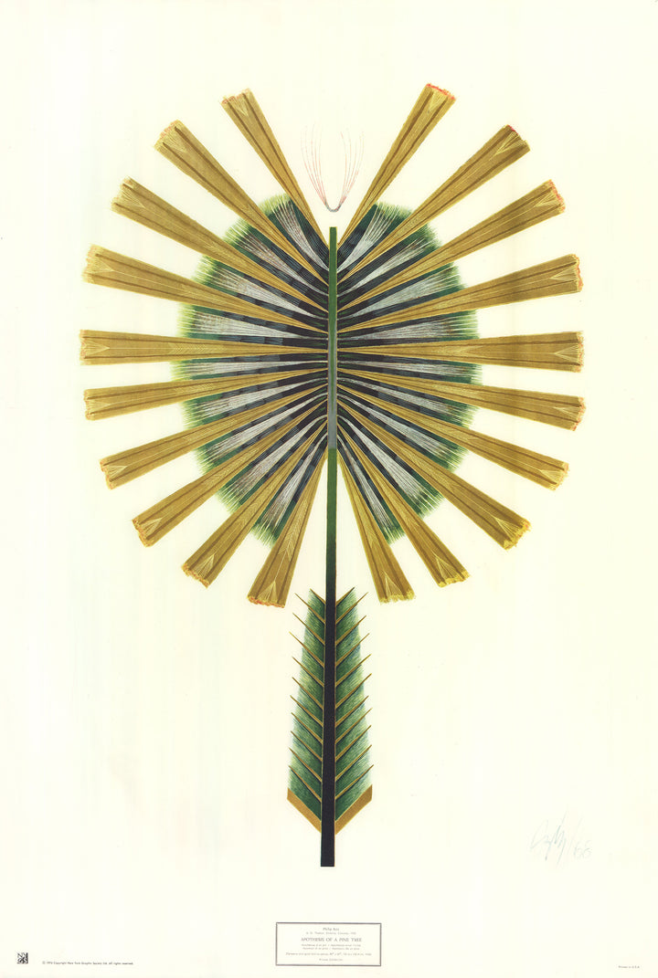 Apothesis of a Pine Tree, 1968 by Philip Aziz - 24 X 35 Inches (Art Print)
