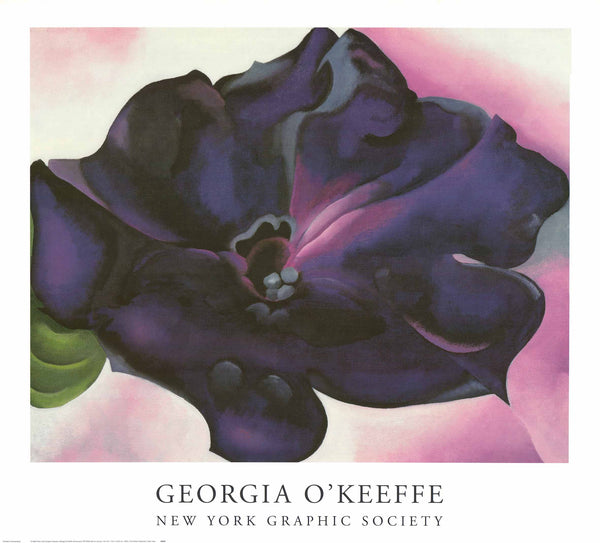 希少! ia O'Keeffe Petunia,1925 Poster Untitled (Purple Petunia), 1925 by Georgia O'Keeffe - Paper Print