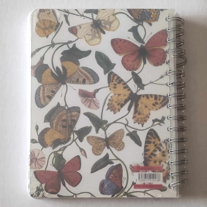 Butterflies - 7 X 9 Inches (Blank Book)