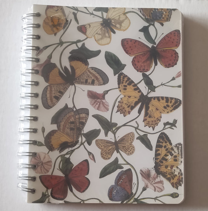 Butterflies - 7 X 9 Inches (Blank Book)