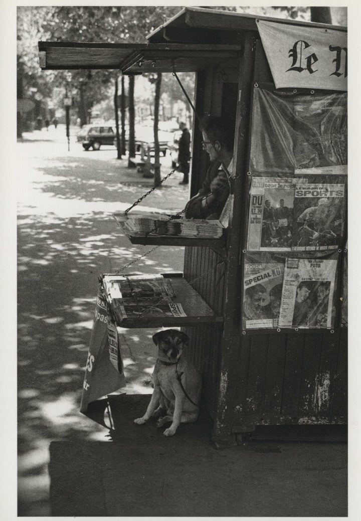 Paris, 1967 by Elliott Erwitt - 4 X 6 Inches (10 Postcards)