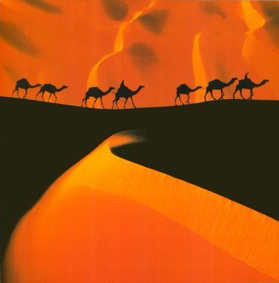 In the Dunes of Temet, Niger by Michael Martin - 20 X 28 Inches (Art Print)