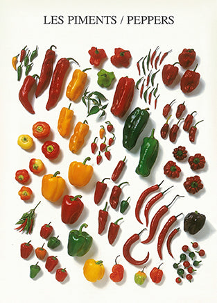 Peppers by Atelier Nouvelles Images - 4 X 6 Inches (10 Postcards)