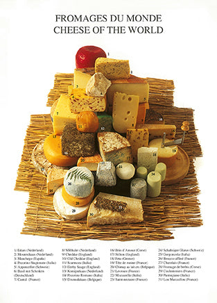 Cheese of the World by Atelier Nouvelles Images - 4 X 6 Inches (10 Postcards)