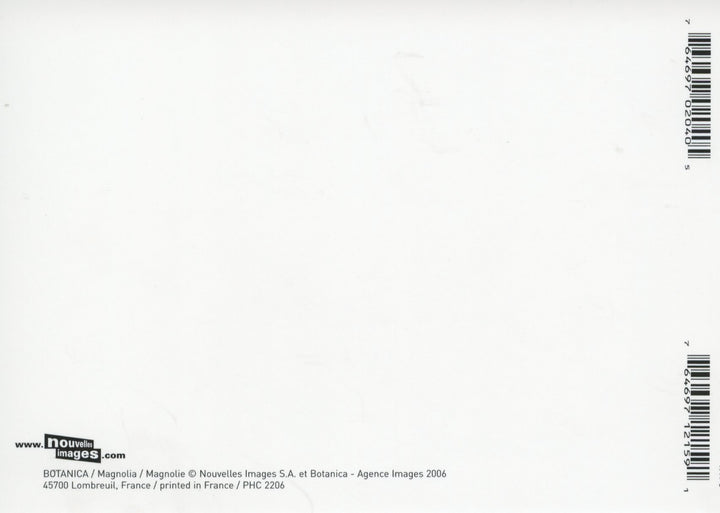 Magnolie by Botanica - 4 X 6 Inches (10 Postcards)