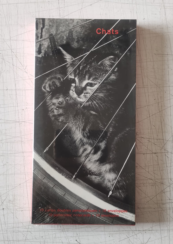 Cats (10 Panoramic Notecard Wallet)