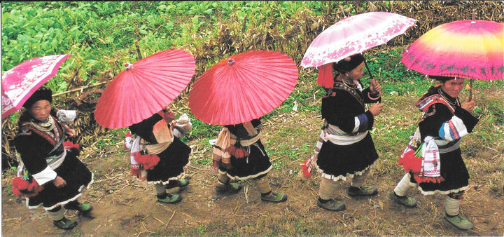 Procession de femmes Miao by Christophe Boisvieux - 5 X 9 Inches (10 Postcards)